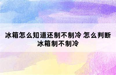 冰箱怎么知道还制不制冷 怎么判断冰箱制不制冷